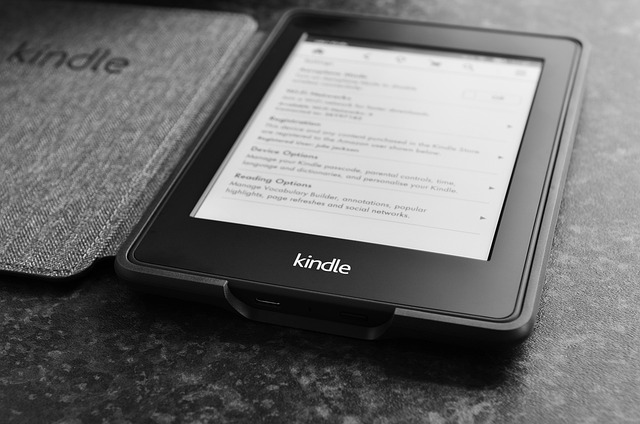 A Kindle Paperwhite from Amazon